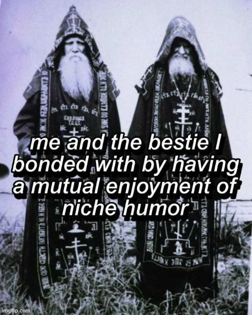 Niche Humor | image tagged in repost | made w/ Imgflip meme maker