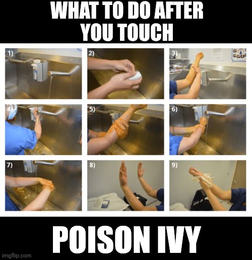Spring Has Sprung! | What to do after
you touch; poison ivy | image tagged in memes,spring,poison ivy,itchy,springtime,yard work | made w/ Imgflip meme maker