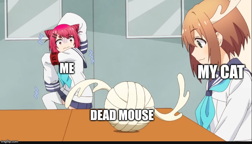 Outdoor cats be like | My cat; Me; Dead mouse | image tagged in antler thing | made w/ Imgflip meme maker