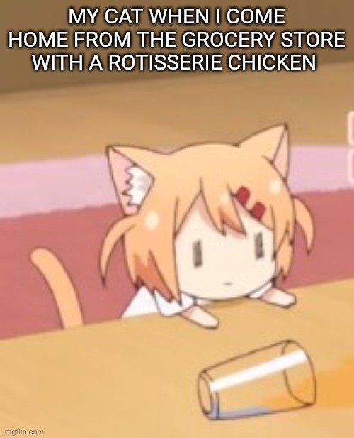 Chicken is for me? | My cat when I come home from the grocery store with a rotisserie chicken | image tagged in maa watching | made w/ Imgflip meme maker