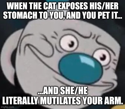 When the cat exposes his/her stomach to you, and you pet it... ...and she/he literally mutilates your arm. | image tagged in mugman | made w/ Imgflip meme maker