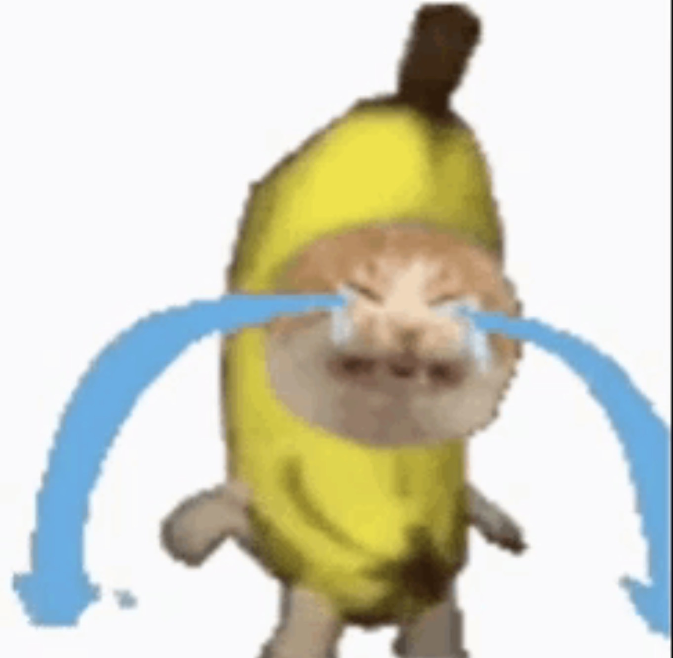 sponge bro Blank Meme Template