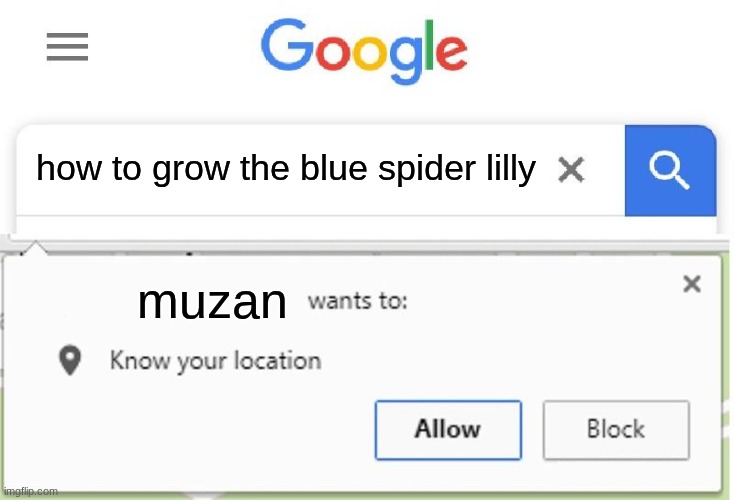 guess who is back from vacason | how to grow the blue spider lilly; muzan | image tagged in wants to know your location,demon slayer | made w/ Imgflip meme maker