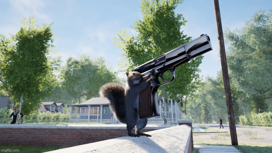Squirrel with a Gun | image tagged in squirrel with a gun | made w/ Imgflip meme maker