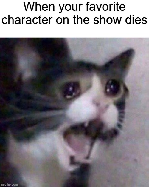i wish i was funnier | When your favorite character on the show dies | image tagged in screaming cat meme | made w/ Imgflip meme maker