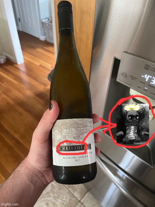 Holy shit guys I found Dr. Jebediah Christoff from the Madness Combat and Madness Project Nexus Series/Game in my fridge | made w/ Imgflip meme maker