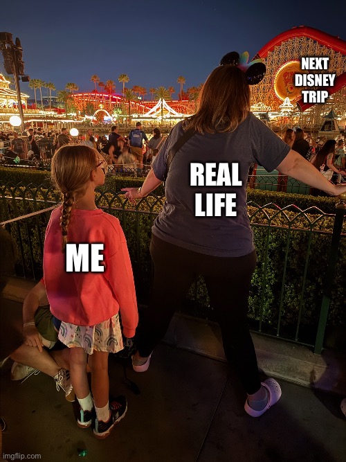 Disney Blocker | Next Disney trip; Real Life; Me | image tagged in disney blocker | made w/ Imgflip meme maker