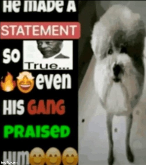 he made a statement so true | image tagged in he made a statement so true | made w/ Imgflip meme maker