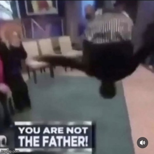 YOU ARE NOT THE FATHER! | image tagged in you are not the father | made w/ Imgflip meme maker
