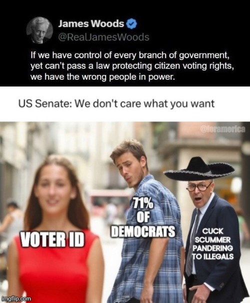 Congress doesn't care what voters want | image tagged in chuck schumer,voter fraud | made w/ Imgflip meme maker