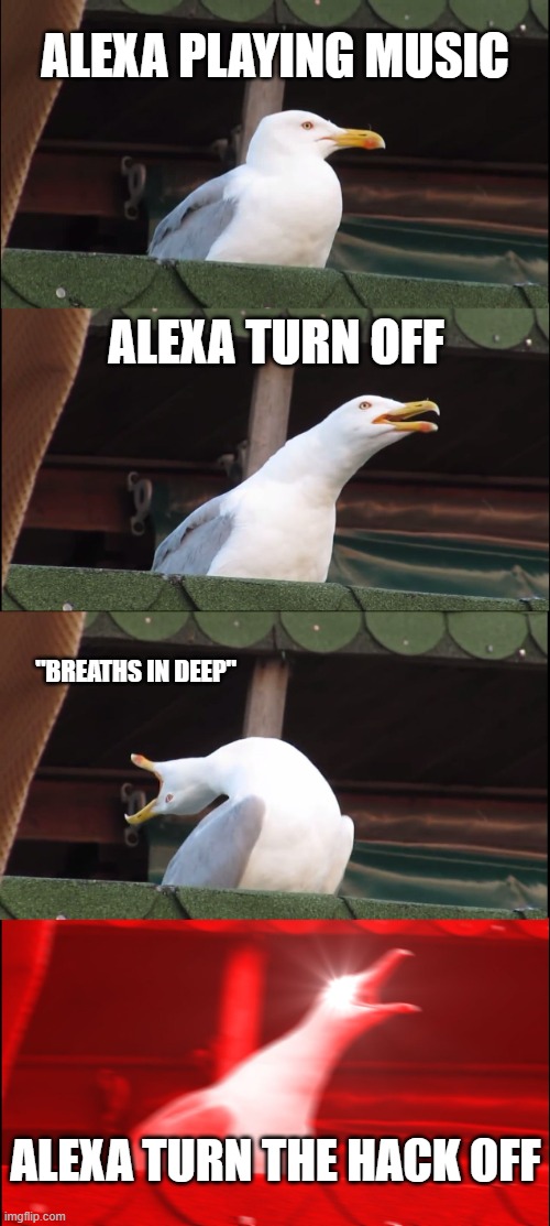 Inhaling Seagull Meme | Alexa playing music; alexa turn off; "breaths in deep"; alexa turn the hack off | image tagged in memes,inhaling seagull | made w/ Imgflip meme maker