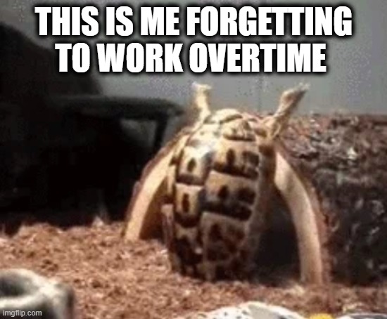 Overtime screen of death | This is me forgetting to work overtime | image tagged in i failed,overtime,overtime fail | made w/ Imgflip meme maker