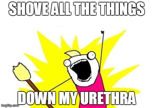 X All The Y Meme | SHOVE ALL THE THINGS DOWN MY URETHRA | image tagged in memes,x all the y | made w/ Imgflip meme maker