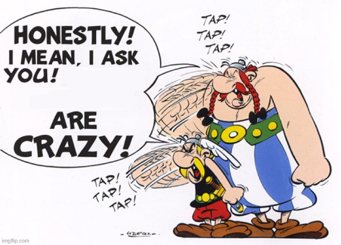 Asterix n Obelix Those/These People are CRAZY!! | image tagged in asterix,memes,funny memes,funny,obelix,french | made w/ Imgflip meme maker