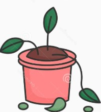 house plant Blank Meme Template