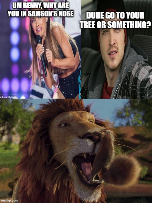 WHY DID I MAKE THIS- | Dude go to your tree or something? Um Benny, Why are you in Samson's nose | image tagged in who laughs at samson put in stuck a benny's nose | made w/ Imgflip meme maker