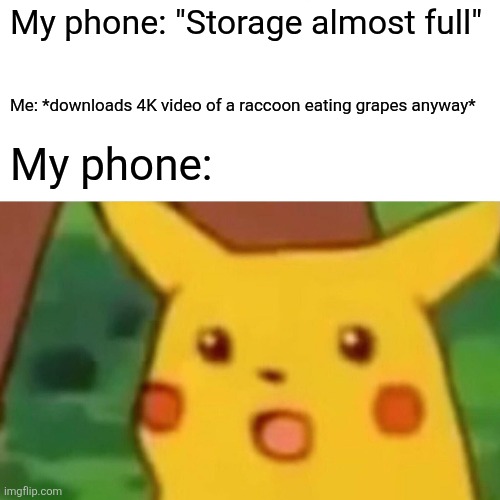 Surprised Pikachu Meme | My phone: "Storage almost full"; Me: *downloads 4K video of a raccoon eating grapes anyway*; My phone: | image tagged in memes,surprised pikachu | made w/ Imgflip meme maker