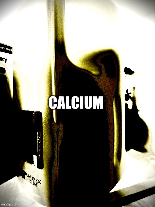 Calcium | image tagged in memes | made w/ Imgflip meme maker