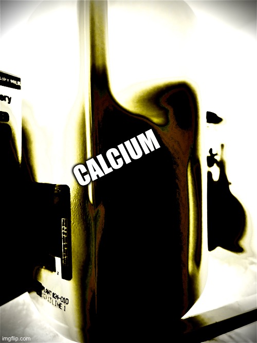 I guess bro | Calcium | image tagged in funny memes,images | made w/ Imgflip meme maker