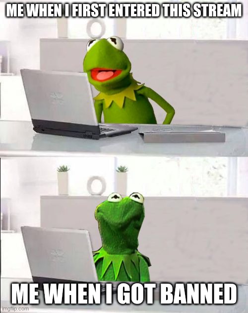 I'm not enjoying being banned | Me when I first entered this stream; Me when I got banned | image tagged in hide the pain kermit | made w/ Imgflip meme maker