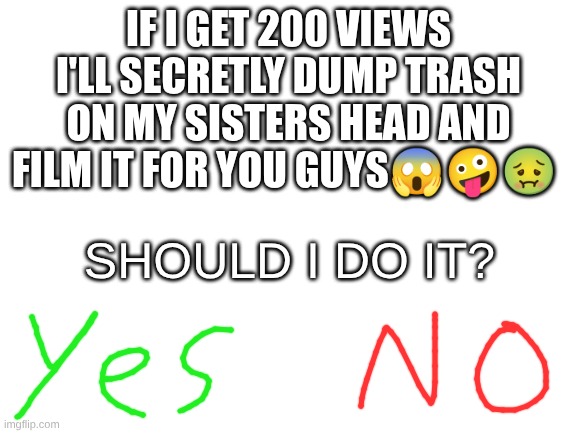 Blank White Template | if I get 200 views I'll secretly dump trash on my sisters head and film it for you guys😱🤪🤢; should I do it? | image tagged in blank white template | made w/ Imgflip meme maker