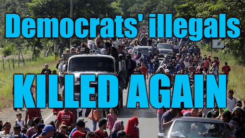Another of the DEMOCRATS ILLEGALS: KILLED AGAIN! | Democrats' illegals; KILLED AGAIN | image tagged in illegal caravan,democrats,illegals,killed | made w/ Imgflip meme maker