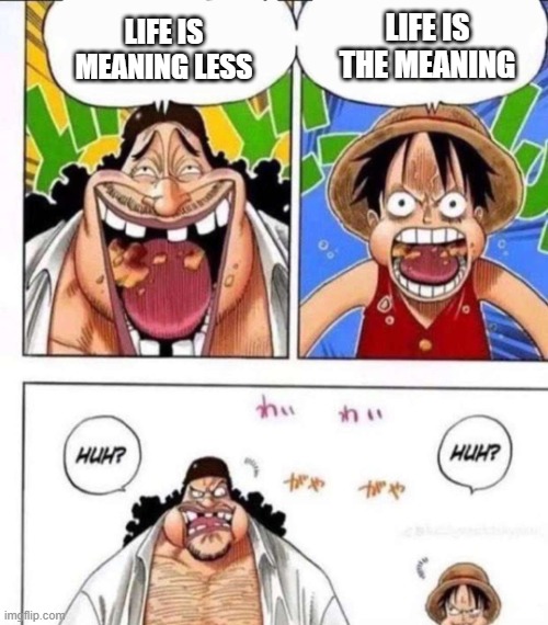 what is life #2 | life is the meaning; life is meaning less | image tagged in luffy black beard huh | made w/ Imgflip meme maker