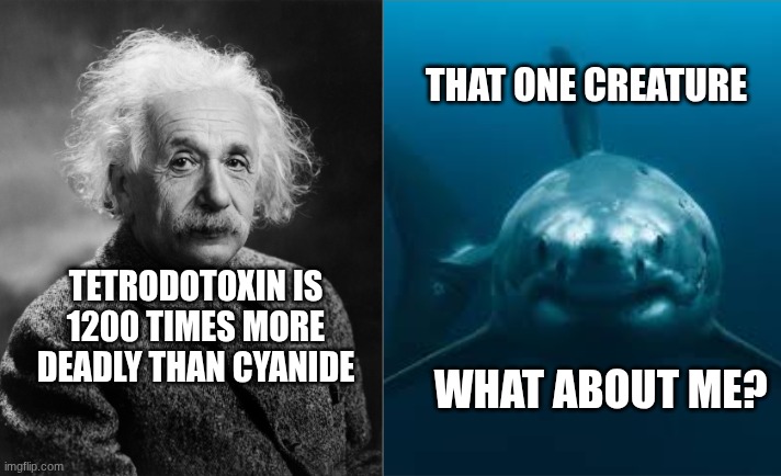 The biggest science myth busted | That one creature; Tetrodotoxin is 1200 times more deadly than Cyanide; What about me? | image tagged in memes,science | made w/ Imgflip meme maker