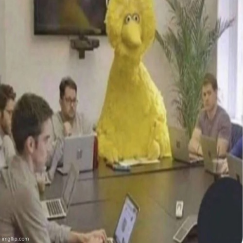 image tagged in wut | made w/ Imgflip meme maker