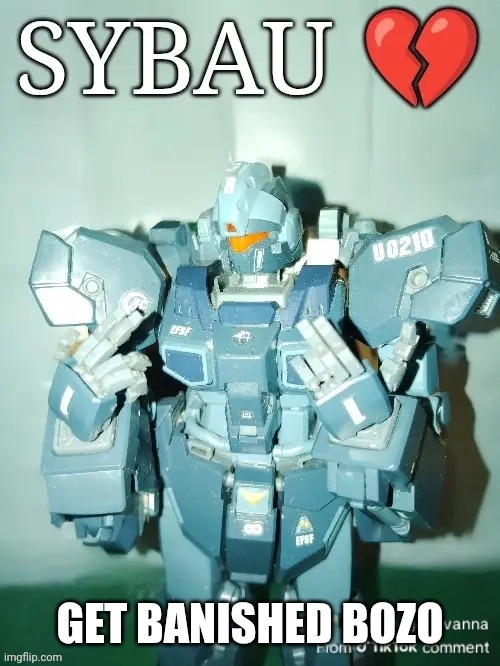 Gundam sybau | Get banished bozo | image tagged in gundam sybau | made w/ Imgflip meme maker
