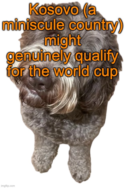 Northers Dog (Transparent) | Kosovo (a miniscule country) might genuinely qualify for the world cup | image tagged in northers dog transparent | made w/ Imgflip meme maker