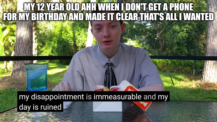 My Disappointment Is Immeasurable | my 12 year old ahh when I don't get a phone for my birthday and made it clear that's all I wanted | image tagged in my disappointment is immeasurable,birthday,iphone | made w/ Imgflip meme maker