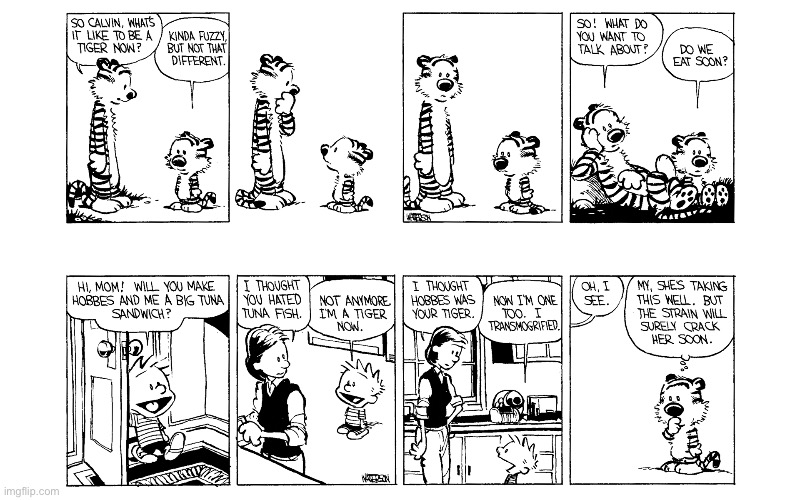 image tagged in calvin and hobbes,comics | made w/ Imgflip meme maker