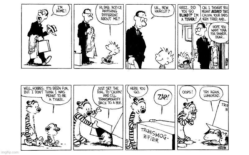 image tagged in calvin and hobbes,comics | made w/ Imgflip meme maker
