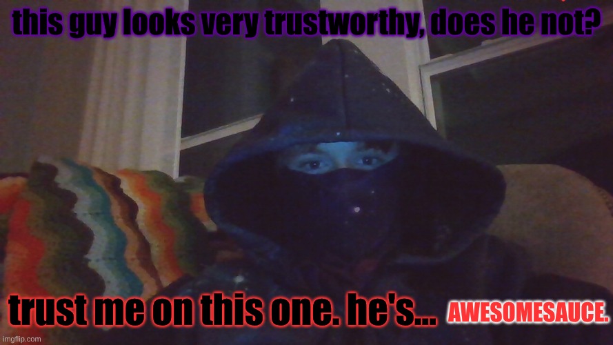 VIRIGANDA PT. 1 | this guy looks very trustworthy, does he not? awesomesauce. trust me on this one. he's... | image tagged in virian hacker | made w/ Imgflip meme maker