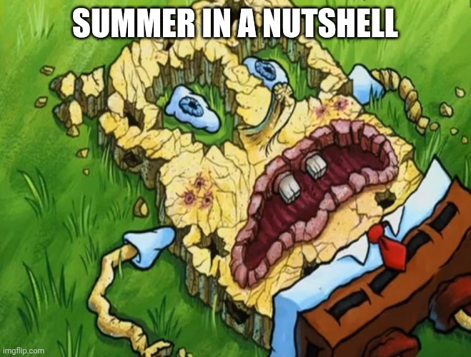 Auugh... Auuugh.... Water... I need water man... | Summer in a nutshell | image tagged in spongebob dry | made w/ Imgflip meme maker