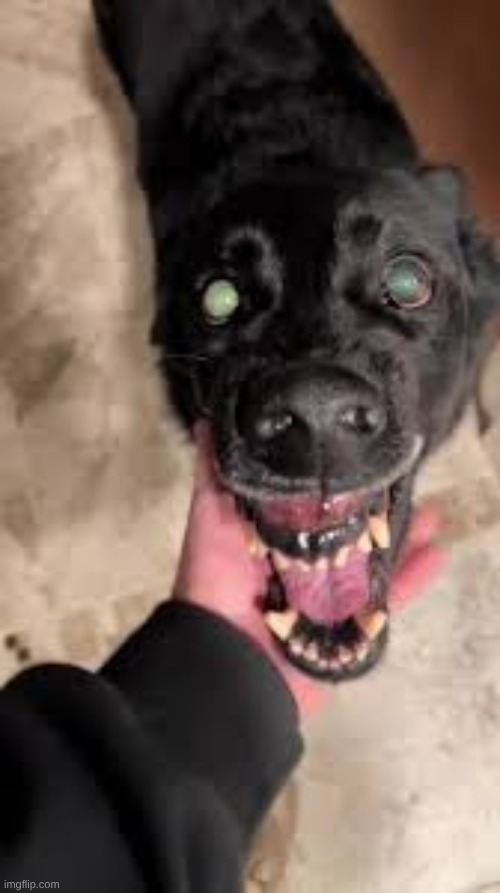 type shit mfs will name "Rainbow" | made w/ Imgflip meme maker