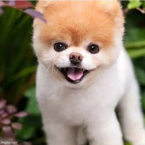 type shit mfs will name "Endless Pain and Suffering" | made w/ Imgflip meme maker