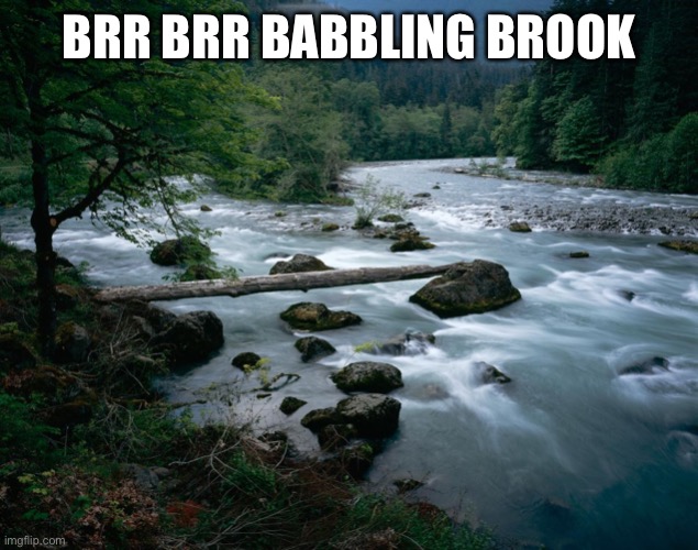 river | brr brr babbling brook | image tagged in river | made w/ Imgflip meme maker
