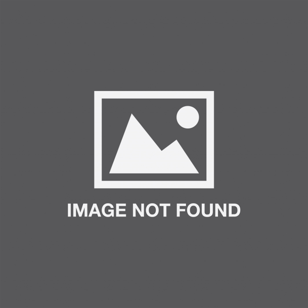 hold on i dont have an image for this meme Blank Meme Template