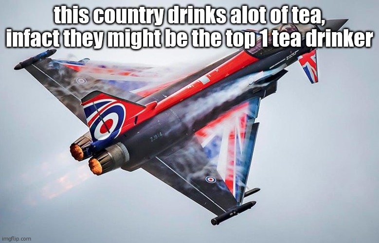 Easy | this country drinks alot of tea, infact they might be the top 1 tea drinker | image tagged in eurofighter typhoon | made w/ Imgflip meme maker