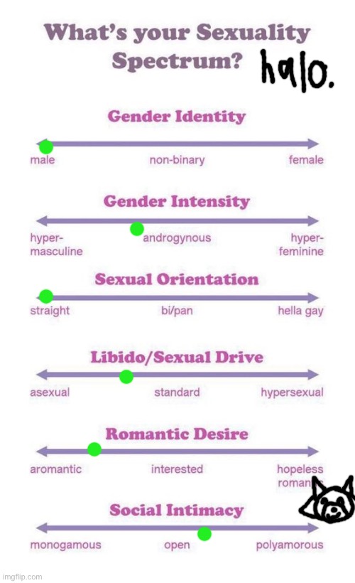 halo | image tagged in what's your sexuality spectrum | made w/ Imgflip meme maker