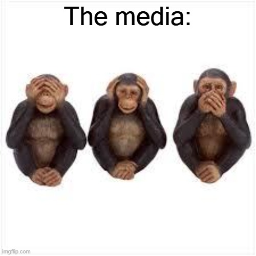 See no Evil Hear no Evil Speak no Evil | The media: | image tagged in see no evil hear no evil speak no evil | made w/ Imgflip meme maker