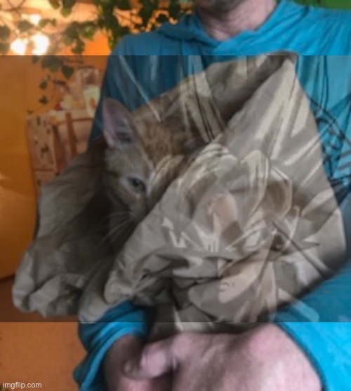 Allergies | image tagged in allergies | made w/ Imgflip meme maker