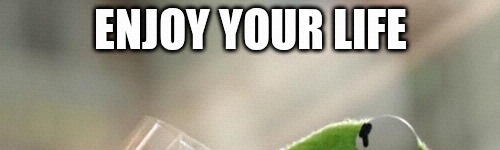 But That's None Of My Business Meme | Enjoy your life | image tagged in memes,but that's none of my business,kermit the frog | made w/ Imgflip meme maker