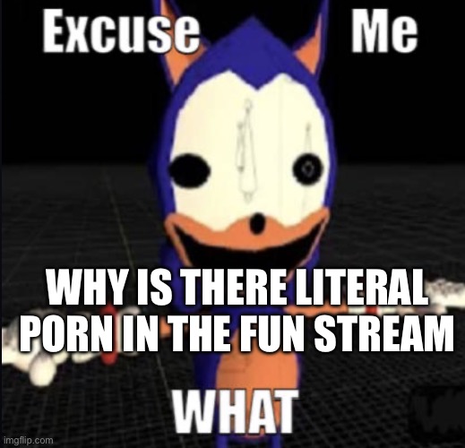 DAWG WTF Don't post links to pornographic content | WHY IS THERE LITERAL PORN IN THE FUN STREAM | image tagged in excuse me what | made w/ Imgflip meme maker