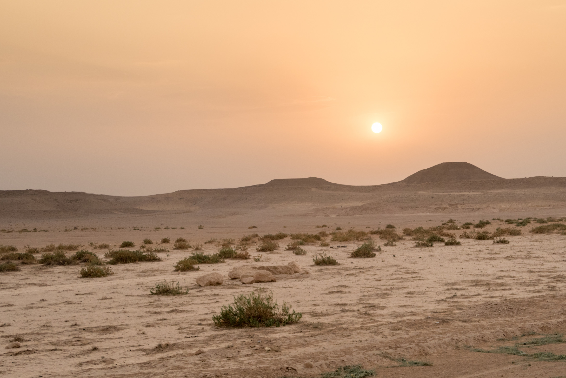 Desert Blank Meme Template