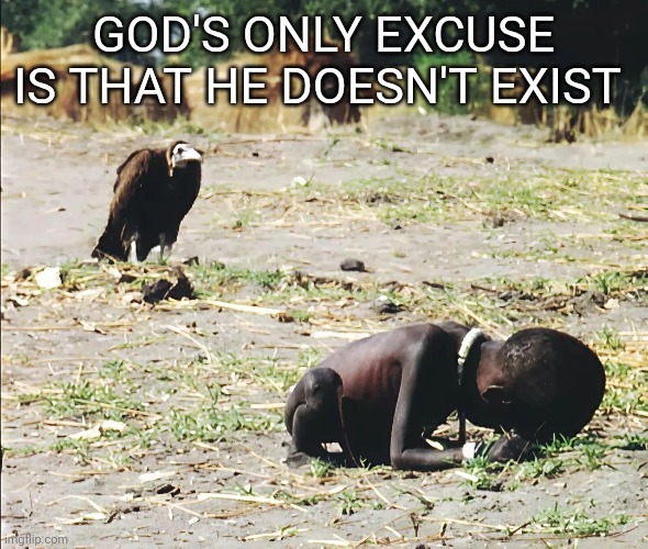 God's Only Excuse | God's only excuse is that he doesn't exist | image tagged in vulture and child | made w/ Imgflip meme maker