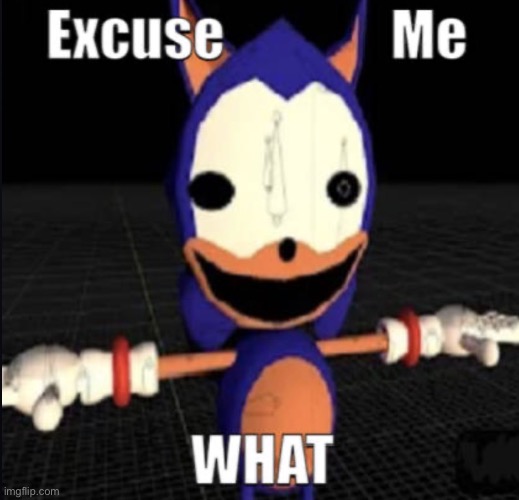 Excuse me WHAT | image tagged in excuse me what | made w/ Imgflip meme maker