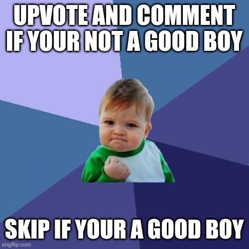 Success Kid Meme | Upvote and comment if your not a good boy; Skip if your a good boy | image tagged in memes,success kid | made w/ Imgflip meme maker